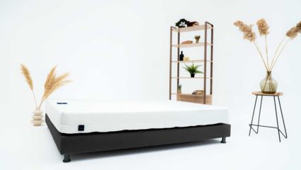 Матрас Materlux ECOLOGIC DREAM MAXI 49