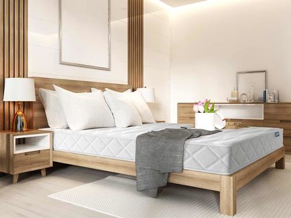 Матрас Димакс Relmas Cocos S1000 160х200